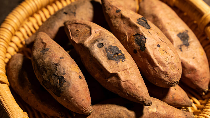 農(nóng)藥殘留檢測(cè)儀準(zhǔn)確鎖定“毒紅薯”元兇,克百威、甲拌磷檢測(cè)能力再升級(jí)